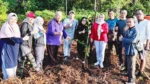 Kepala Dinas KP2KH Kepri, Rika Azmi, memimpin penanaman 40 pohon di kawasan Bumi Perkemahan Poyotomo, Kabupaten Bintan