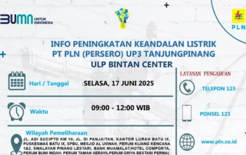 PLN Tanjungpinang Lakukan Pemeliharaan Jaringan, Listrik Padam Sementara di Sejumlah Wilayah Selasa 17 Juni 2025