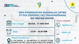 Waspada! PLN Tanjungpinang Jadwalkan Pemeliharaan Listrik, Sejumlah Wilayah Akan Padam Sementara pada 17 Juni 2025